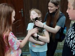 4479805009230290529583776931421465806097063n